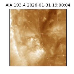 saia - 2026-01-31T19:00:04.843000