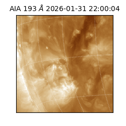 saia - 2026-01-31T22:00:04.843000