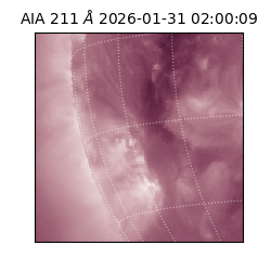 saia - 2026-01-31T02:00:09.626000