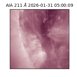 saia - 2026-01-31T05:00:09.630000