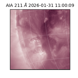 saia - 2026-01-31T11:00:09.626000