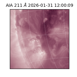 saia - 2026-01-31T12:00:09.626000