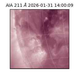 saia - 2026-01-31T14:00:09.626000