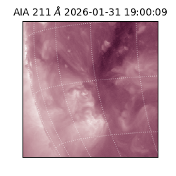 saia - 2026-01-31T19:00:09.626000