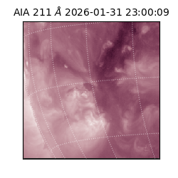 saia - 2026-01-31T23:00:09.630000