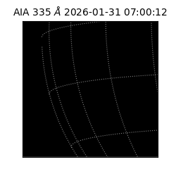 saia - 2026-01-31T07:00:12.633000