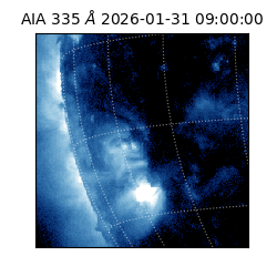 saia - 2026-01-31T09:00:00.622000