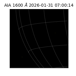 saia - 2026-01-31T07:00:14.126000