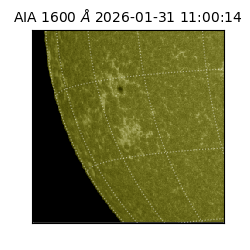 saia - 2026-01-31T11:00:14.126000