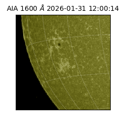 saia - 2026-01-31T12:00:14.126000