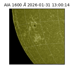 saia - 2026-01-31T13:00:14.126000