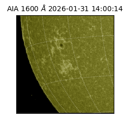 saia - 2026-01-31T14:00:14.126000