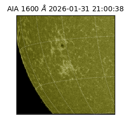 saia - 2026-01-31T21:00:38.129000