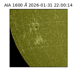 saia - 2026-01-31T22:00:14.125000