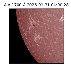 saia - 2026-01-31T04:00:28.718000