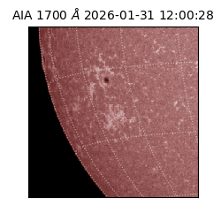 saia - 2026-01-31T12:00:28.709000