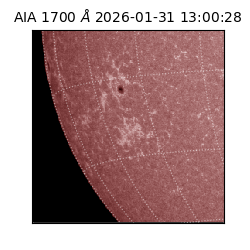 saia - 2026-01-31T13:00:28.720000