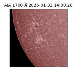 saia - 2026-01-31T14:00:28.721000