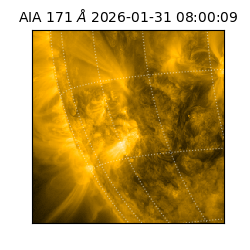 saia - 2026-01-31T08:00:09.350000