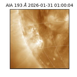 saia - 2026-01-31T01:00:04.846000