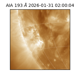 saia - 2026-01-31T02:00:04.846000