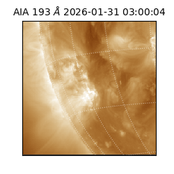 saia - 2026-01-31T03:00:04.843000