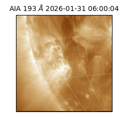 saia - 2026-01-31T06:00:04.843000