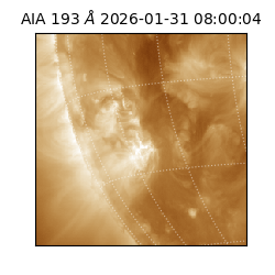 saia - 2026-01-31T08:00:04.843000