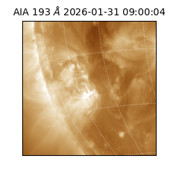 saia - 2026-01-31T09:00:04.843000