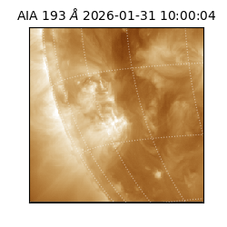 saia - 2026-01-31T10:00:04.843000