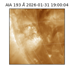 saia - 2026-01-31T19:00:04.843000