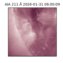 saia - 2026-01-31T06:00:09.633000