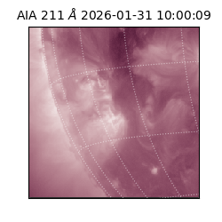 saia - 2026-01-31T10:00:09.622000