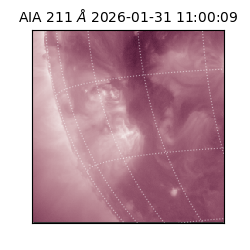 saia - 2026-01-31T11:00:09.626000