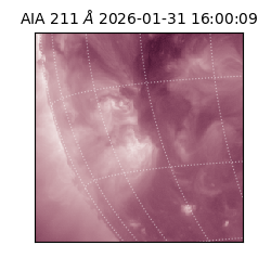 saia - 2026-01-31T16:00:09.626000