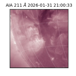 saia - 2026-01-31T21:00:33.629000