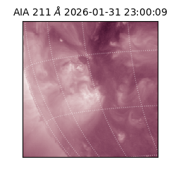 saia - 2026-01-31T23:00:09.630000