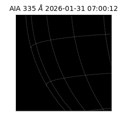 saia - 2026-01-31T07:00:12.633000