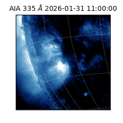 saia - 2026-01-31T11:00:00.633000