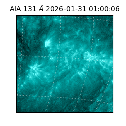 saia - 2026-01-31T01:00:06.622000