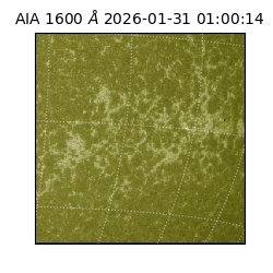 saia - 2026-01-31T01:00:14.125000