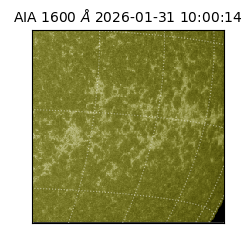 saia - 2026-01-31T10:00:14.126000