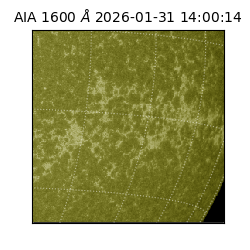 saia - 2026-01-31T14:00:14.126000