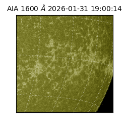 saia - 2026-01-31T19:00:14.126000