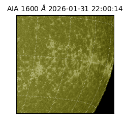 saia - 2026-01-31T22:00:14.125000