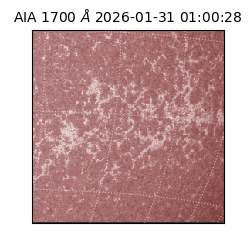 saia - 2026-01-31T01:00:28.721000