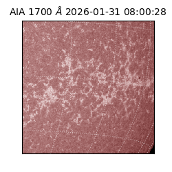 saia - 2026-01-31T08:00:28.713000