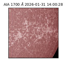 saia - 2026-01-31T14:00:28.721000