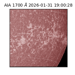 saia - 2026-01-31T19:00:28.710000