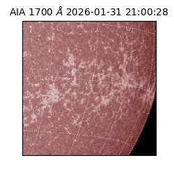 saia - 2026-01-31T21:00:28.726000